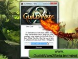 Guild Wars 2 Beta Serial keys