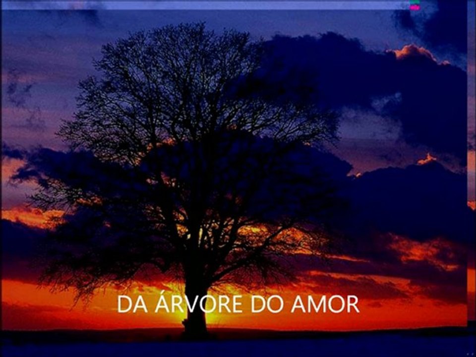 Daniel Ramon - A Árvore do Amor (nova)
