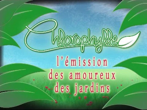 Chlorophylle épisode1 sur Télé Doller