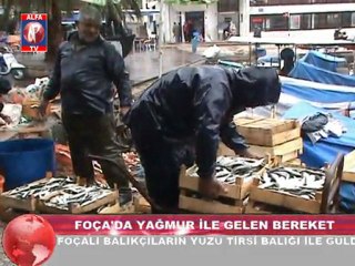 Foçalı balıkçılara yağmurla gelen bereket