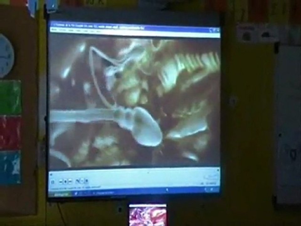 sciences cycle 3 reproduction humaine fc-rh-s3-e3-1