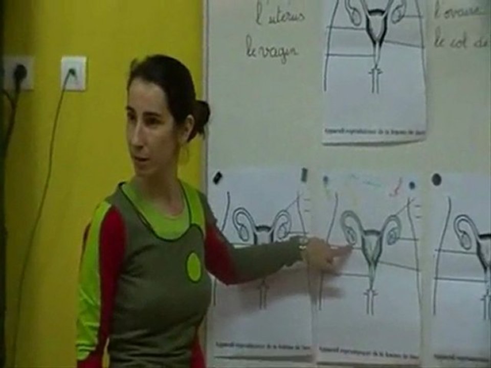 sciences cycle 3 reproduction humaine fc-rh-s3-e3-2