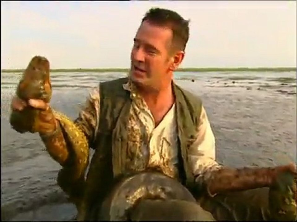 Anaconda