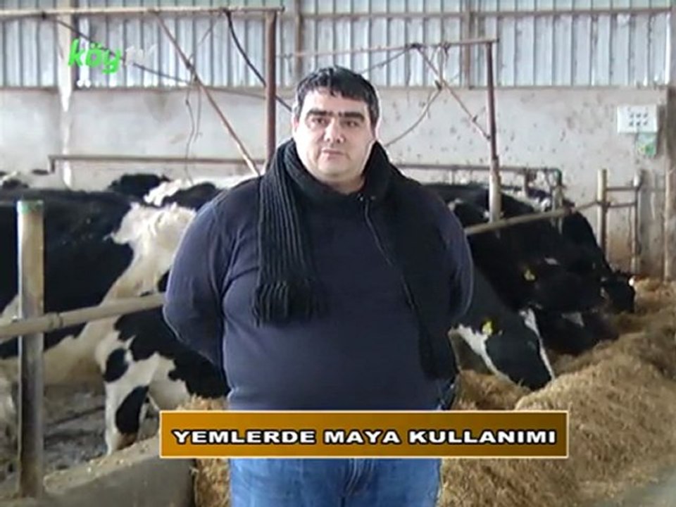 yemlerde maya kullanımı