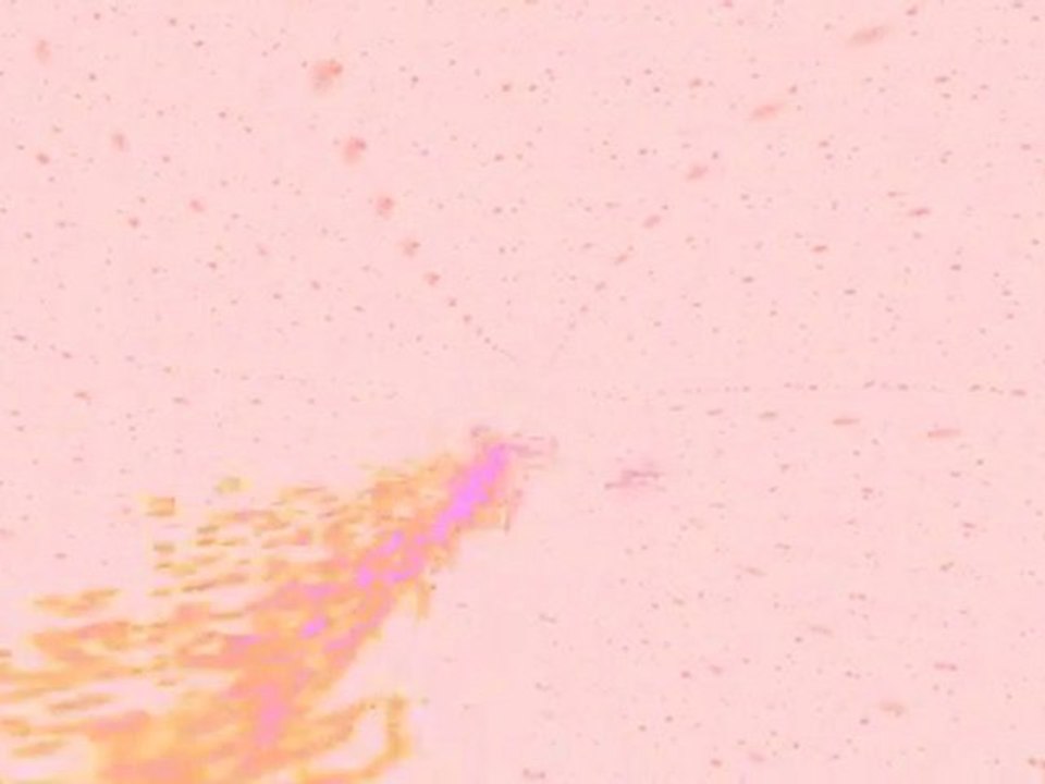 F.r. - gegenverkehr.mp3