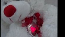Oso de Peluche Musical