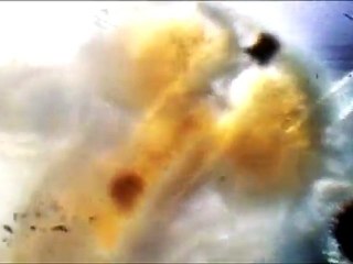 Artemias  アルテミア