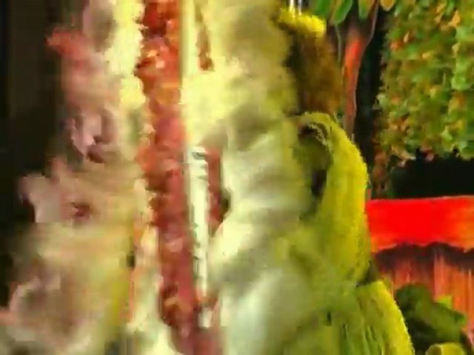 Crazy Jungle