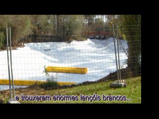 A Metamorfose de um Lago