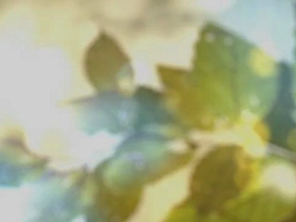 Chevrolet Cruze Station Wagon (Genève 2012)