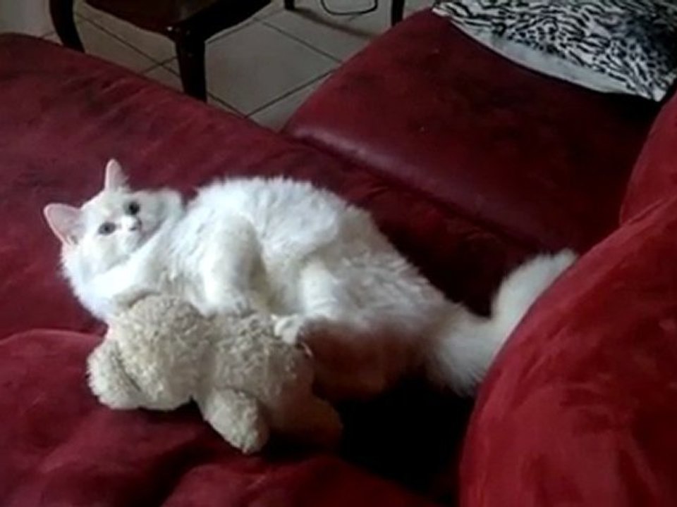 GARFIELD 28 02 12 (2)