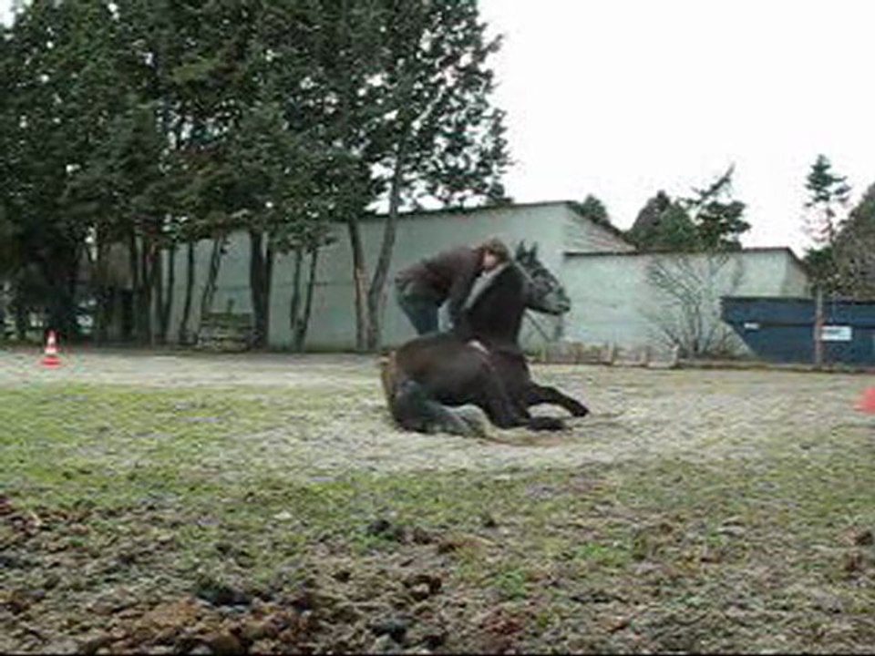 02.12 jeu amitie extreme