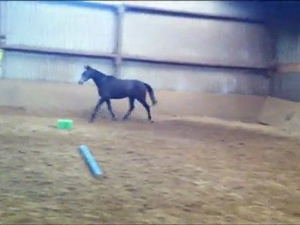 Vivaldie - Fevrier 2012