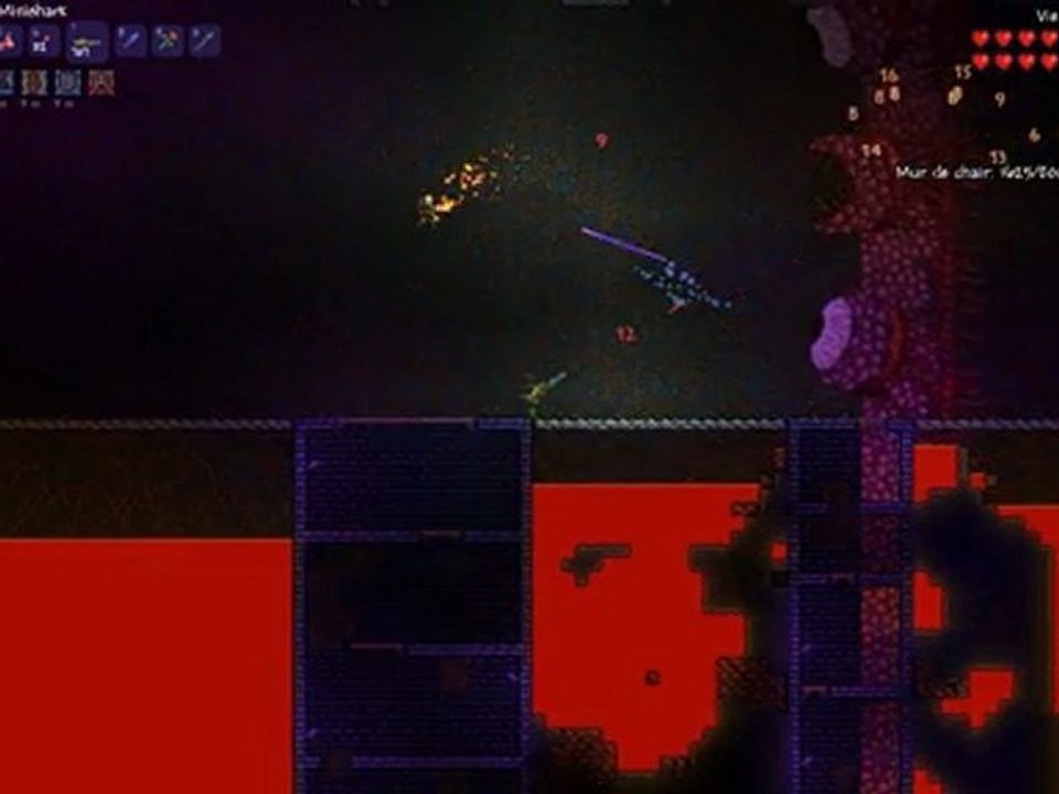 Terraria : EPIC Win