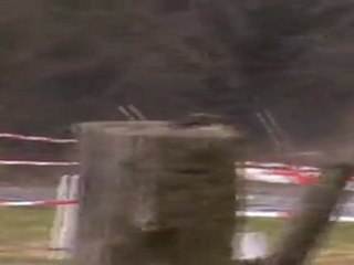 Rallye-Sprint Winning 2012