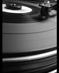 Cocoon Chupee cover The violets