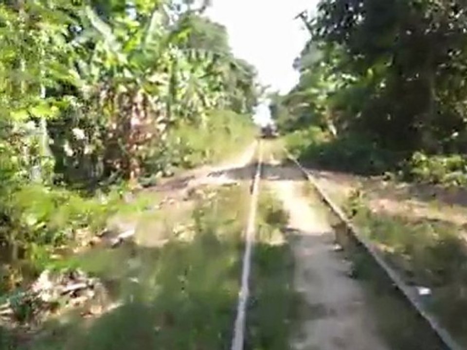 Bamboo train