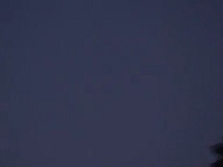 Départ de chauve souris.