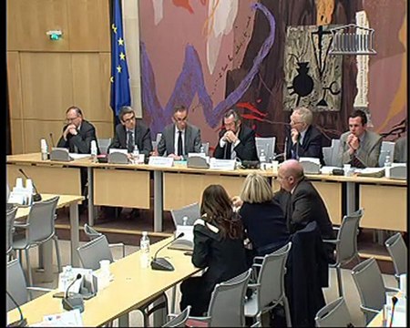 Free Mobile : Jean Ludovic Silicani devant les députés