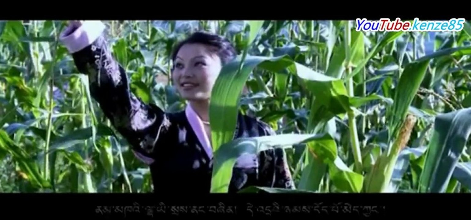 Zhalu tibetan song 2012