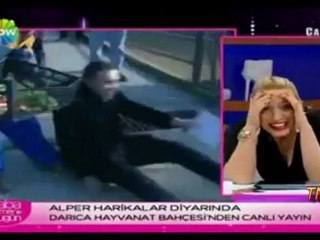 Dumpert Fail Compilatie Februari 2012 II TNL