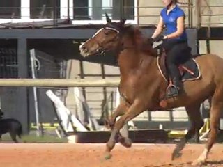 entrainement 2 28 fev 2012