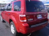 Used 2010 Ford Escape Nashville TN - by EveryCarListed.com