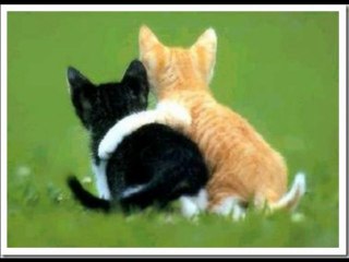 The Classic "Lean On Me In" By Dj Aliababoa (Bill Withers Cover)