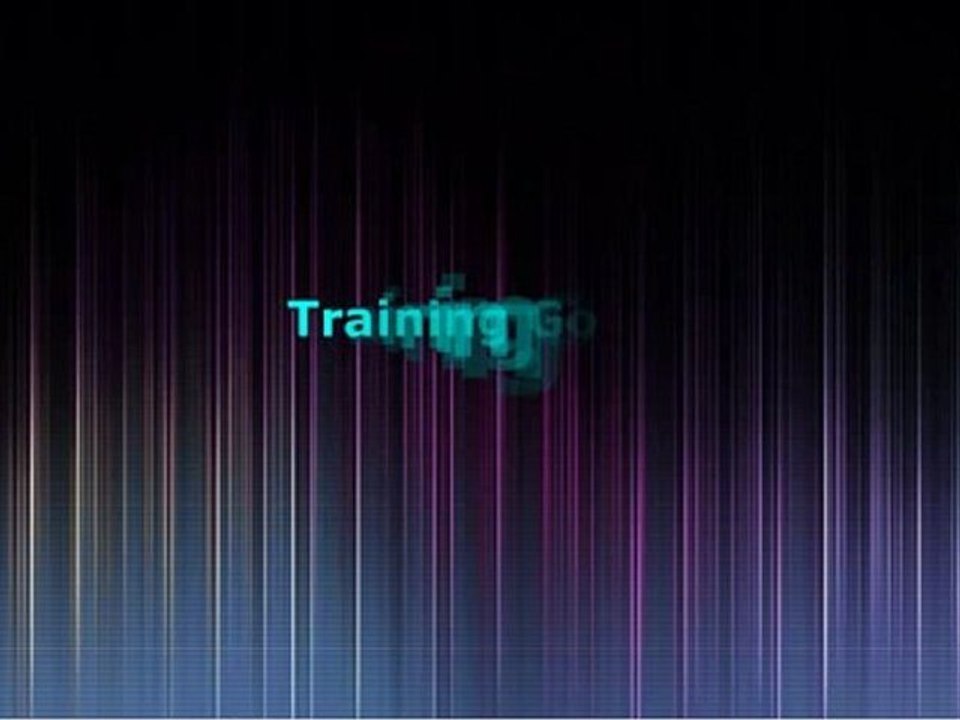 Executive Sales Coach