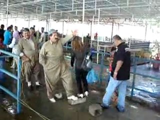 أنطوني طريق