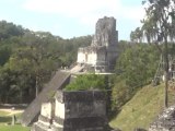 GUATEMALA: Tikal,ruines Maya (2)
