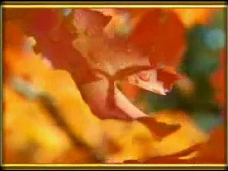 Nuestro Poema - Raul Di Blasio (Colors of Fall).mpg