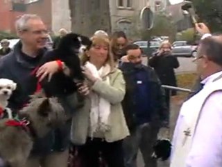 Bénédiction des annimaux à Seilles