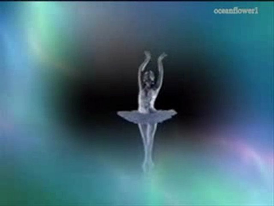 The swan - BRADLEY JOSEPH