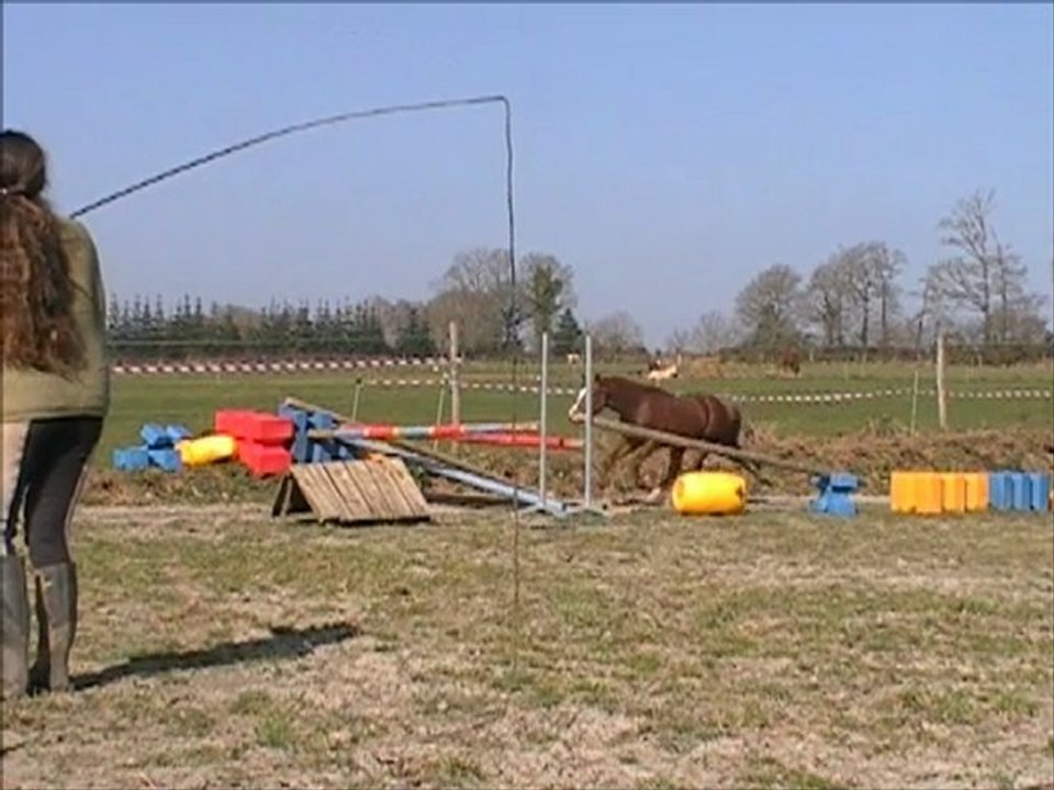 Volo Campo Tartifume par Campo Flamingo Z 1er terstage en liberté