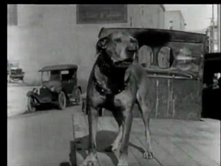Atelier bruitage à l'école maternelle Cardinal Amette