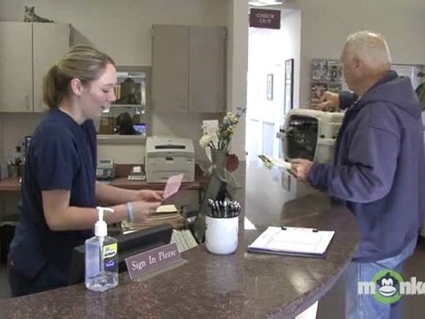 How to Have Your Pet Spayed or Neutered