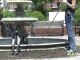 How to Train a Dog to Walk on a Leash