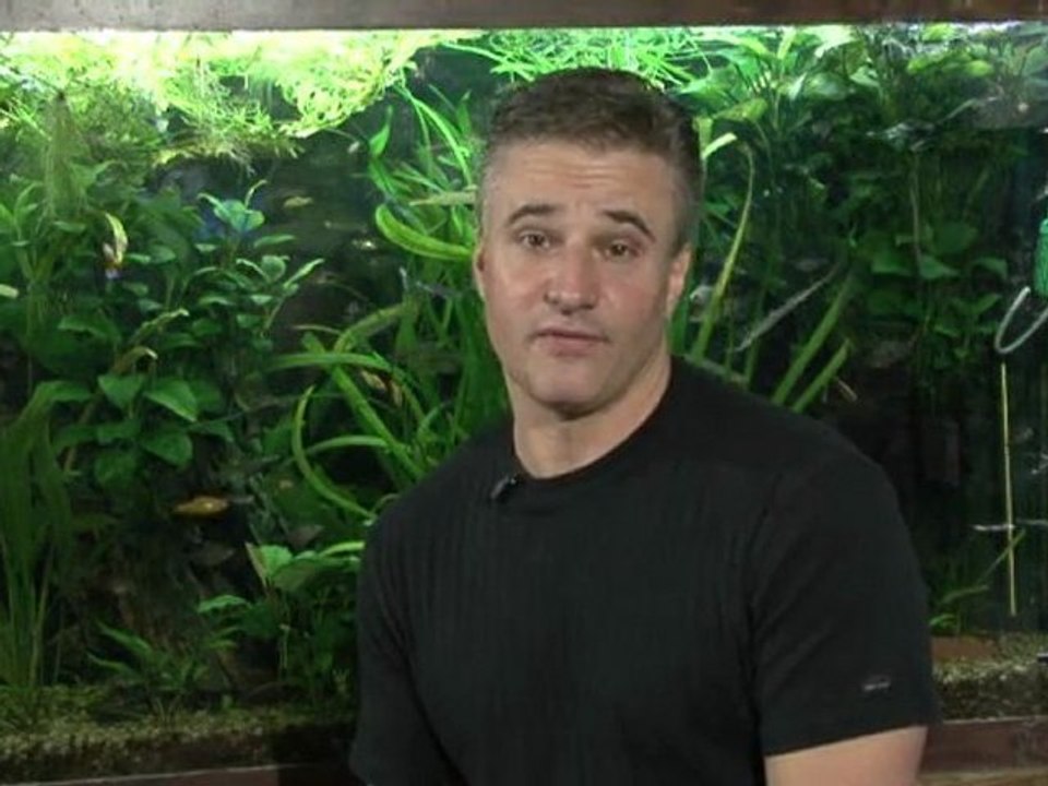 How to Keep a Successful Aquarium