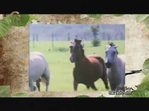 Todo sobre mi padre Todo este campo es mio