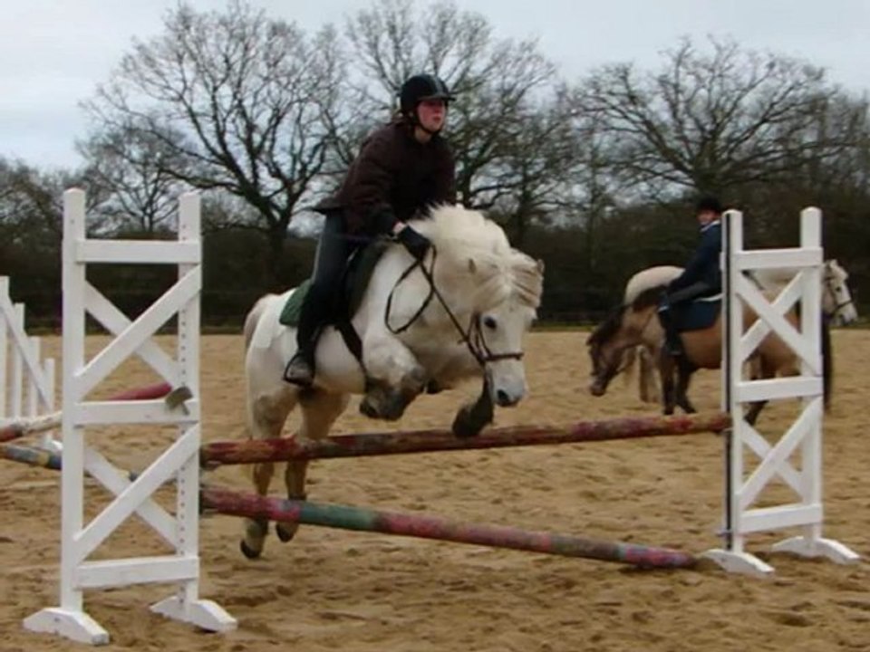 StageFev2012_0001