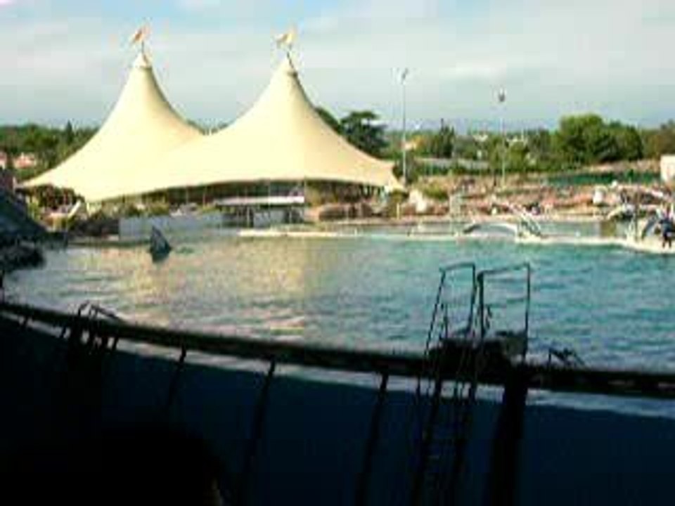 Marineland orques