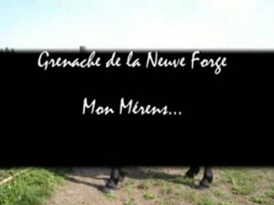 Grenache