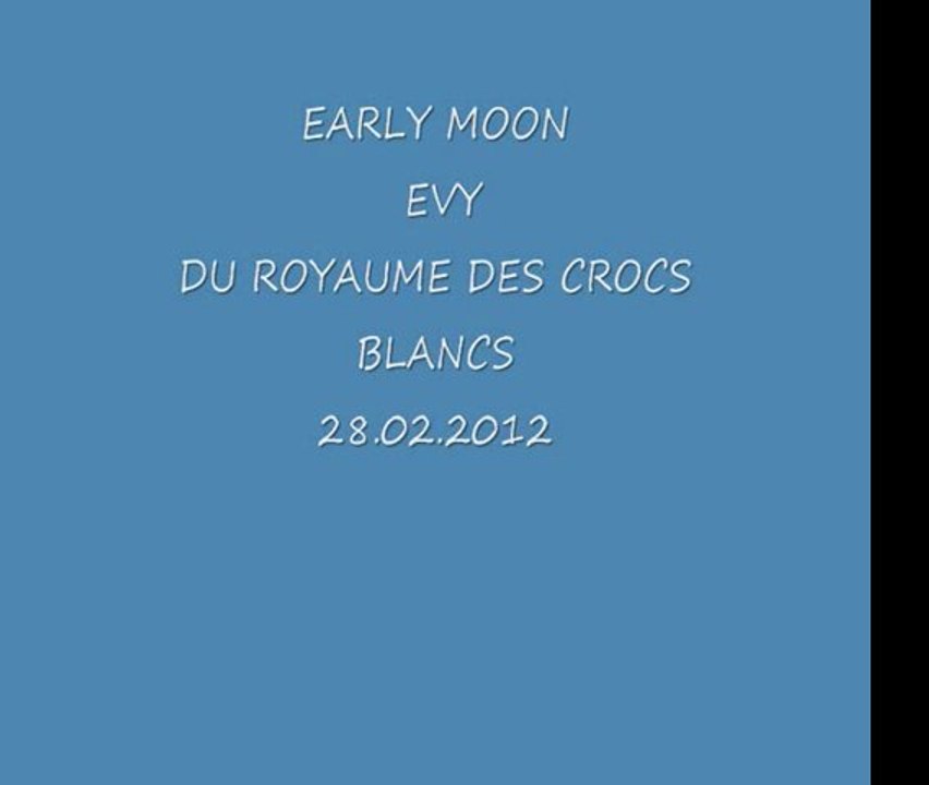 EVY  28.02.2012