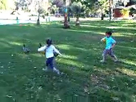 VID 00061-20110426-1903