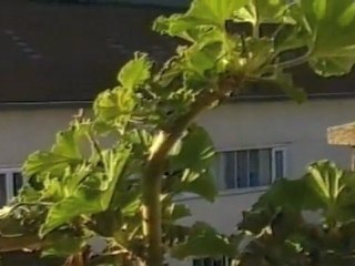 Demain et encore demain