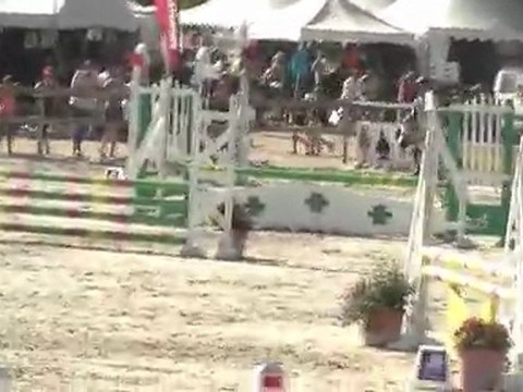 Lamotte beuvron 2010 avec Paladin !