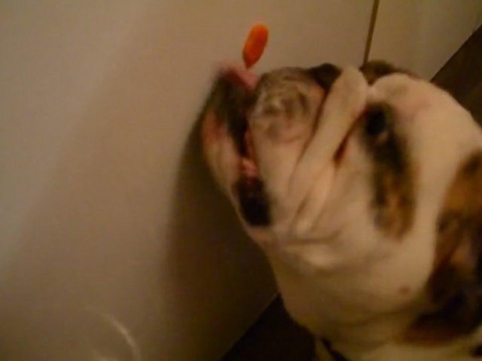 Loli et sa rondelle de carotte . . .