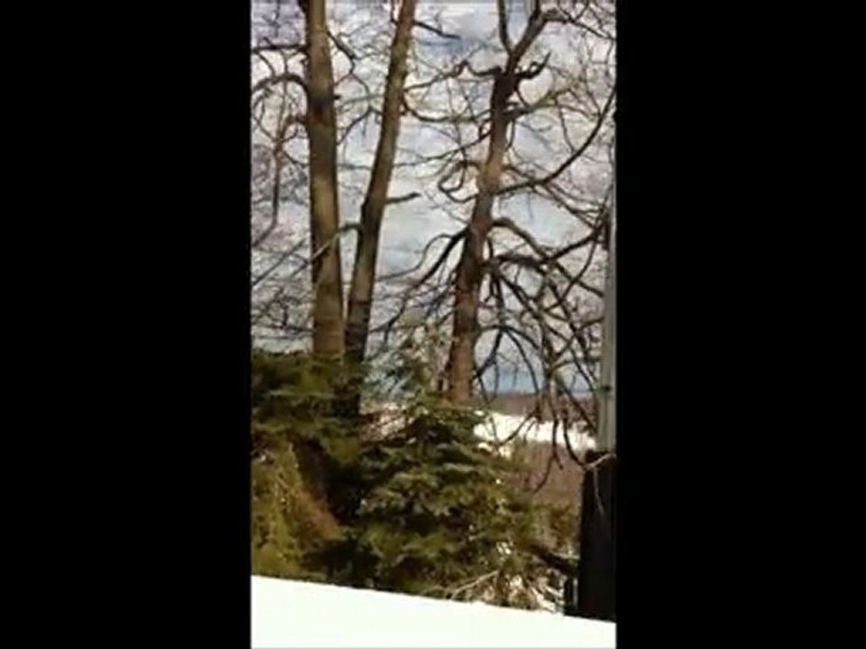 7springs-2