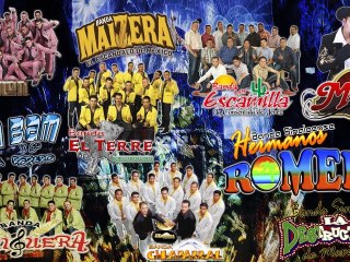 Feria Zapotitlan 2012 [Programa de Bandas]